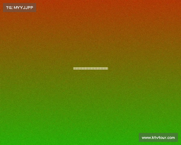 德甲冬季转会市场动态分析球员流动和球队调整情况