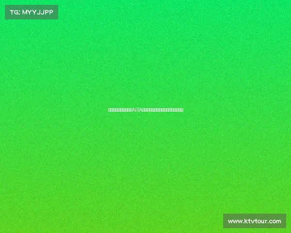 篮球迷心声：盘点各大NBA球队最具人气球迷文化和独特支持方式